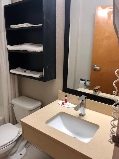 Microtel Inn By Wyndham - Мърфрийзбъроу Екстериор снимка